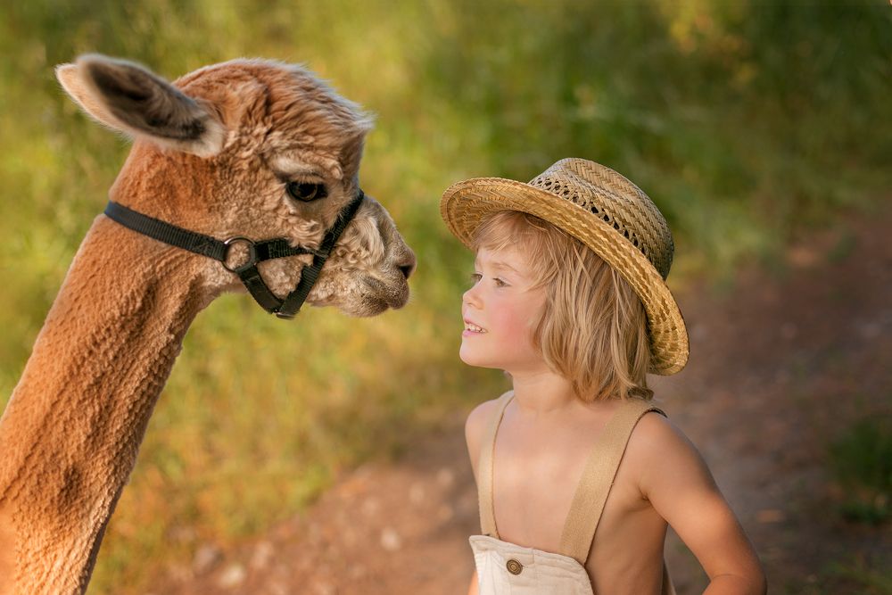 Photograph by Екатерина Шефер