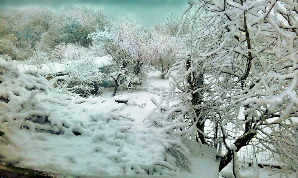 Photograph by Леонид Борисенко