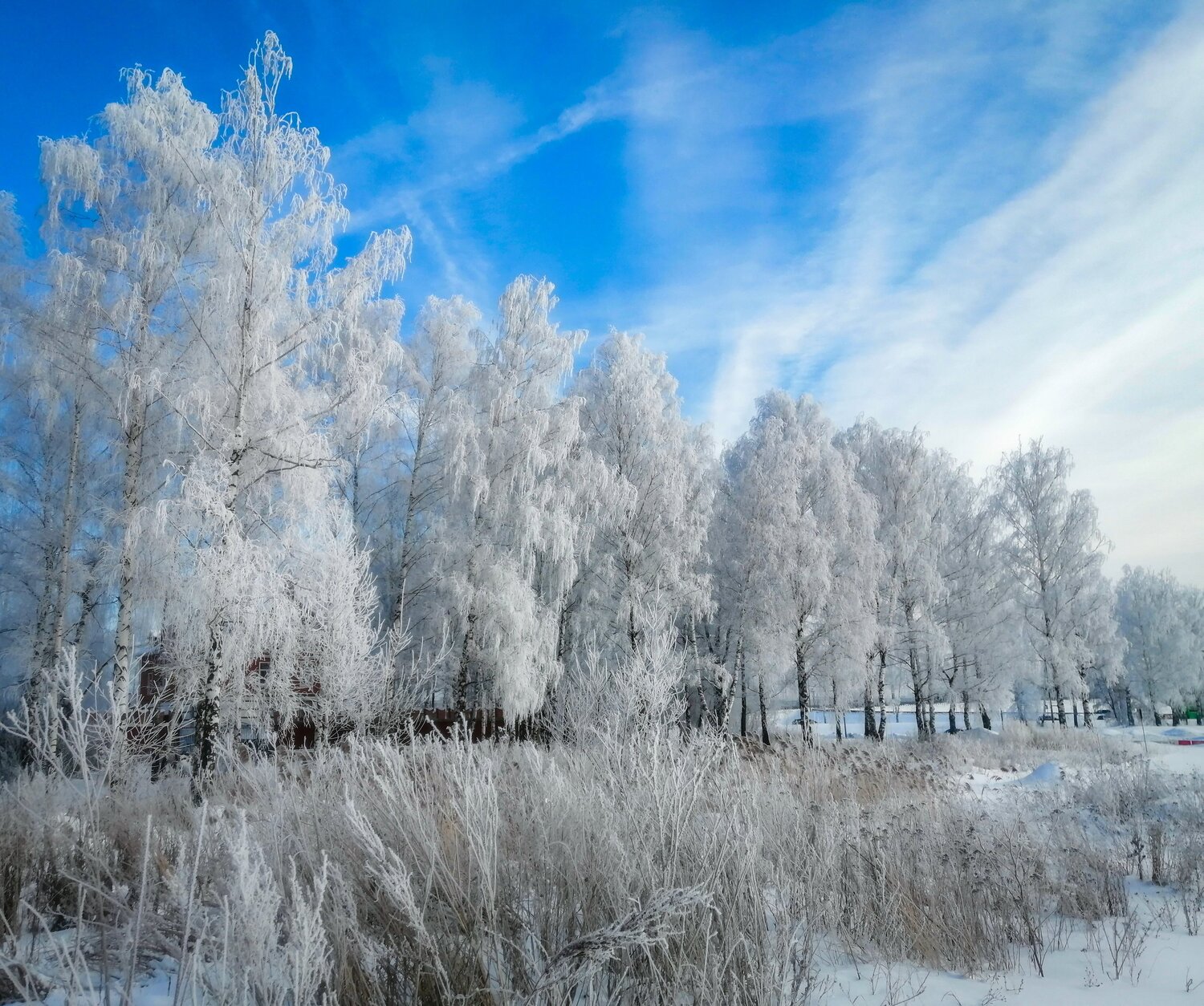 Photo #5641029