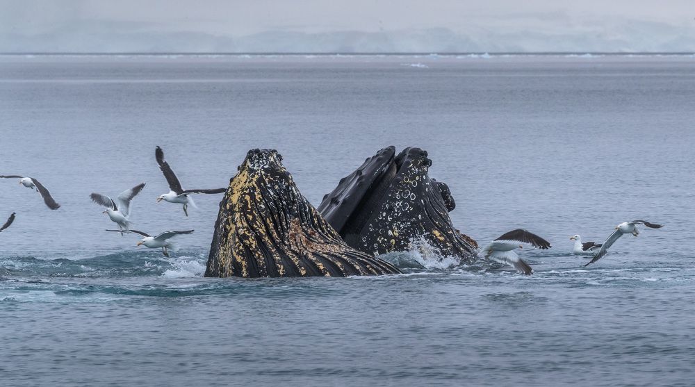 Photograph by Александр Лозицкий