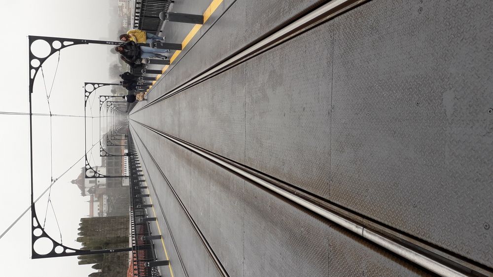 Photo #5641045