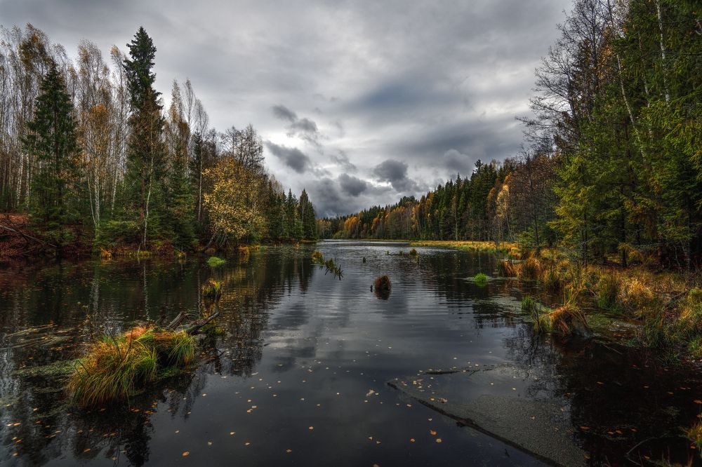 хмурая осень