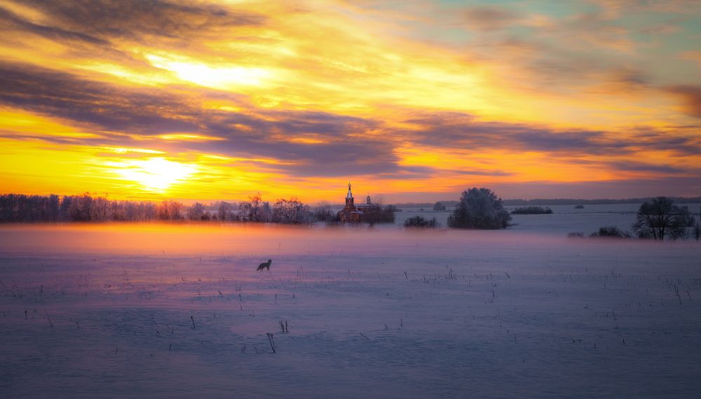 Photograph by андрей зорин