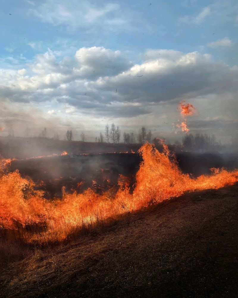 Photograph by Сергей Протасов