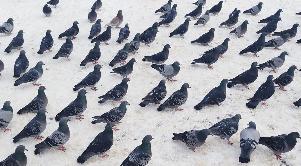 Photograph by Ксения Щербакова