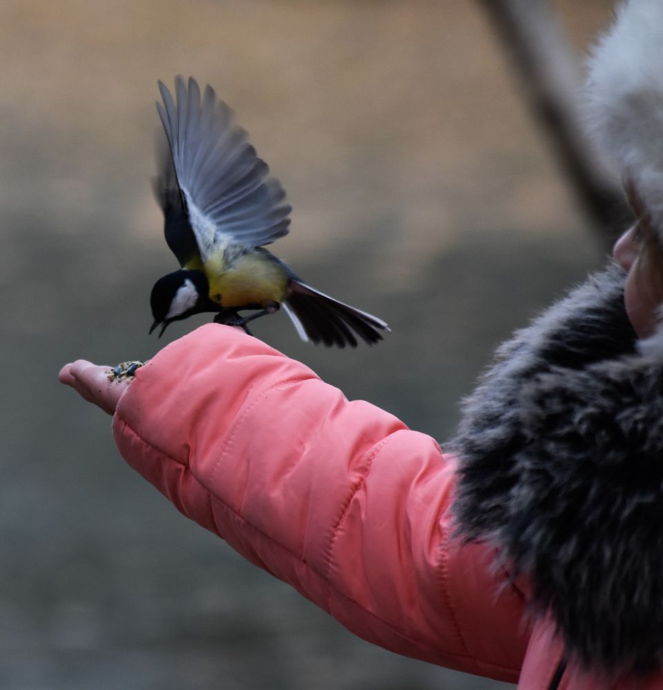 Начало пути...