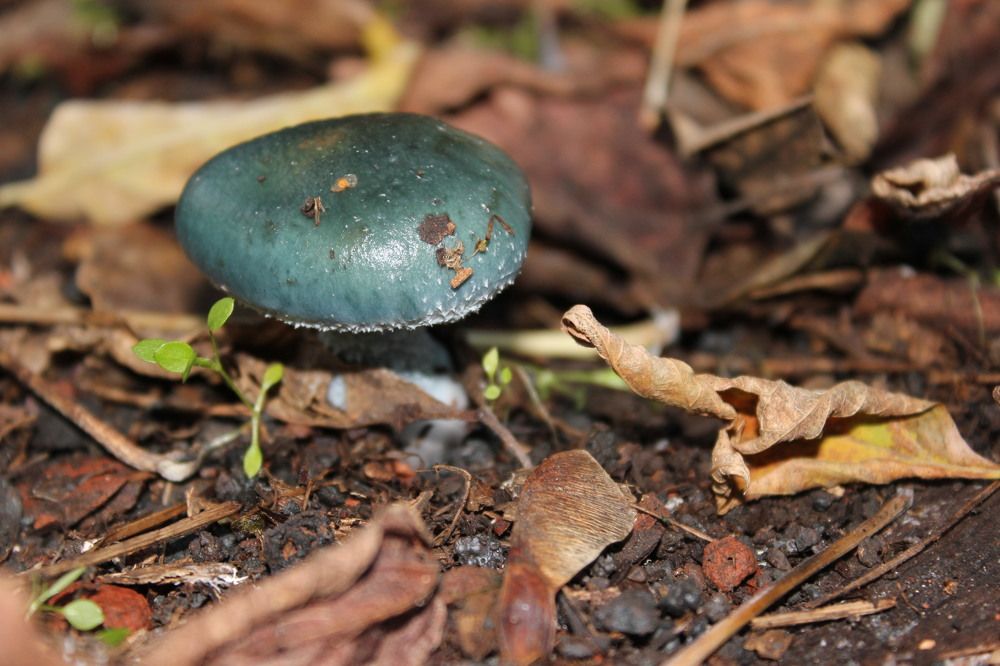 Photograph by Алексей Ролин