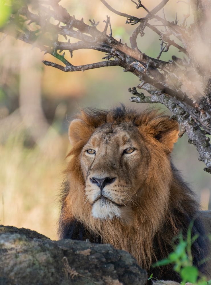 Photograph by mayur kalab