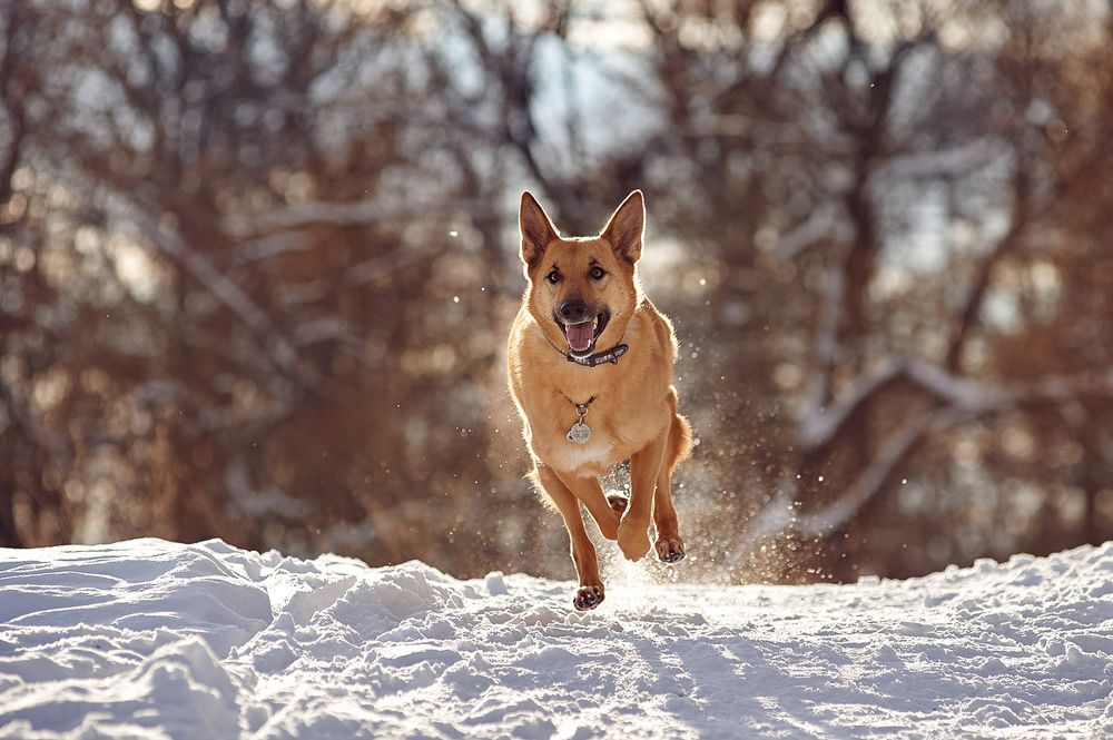 Фотография автора Дарина Матасова