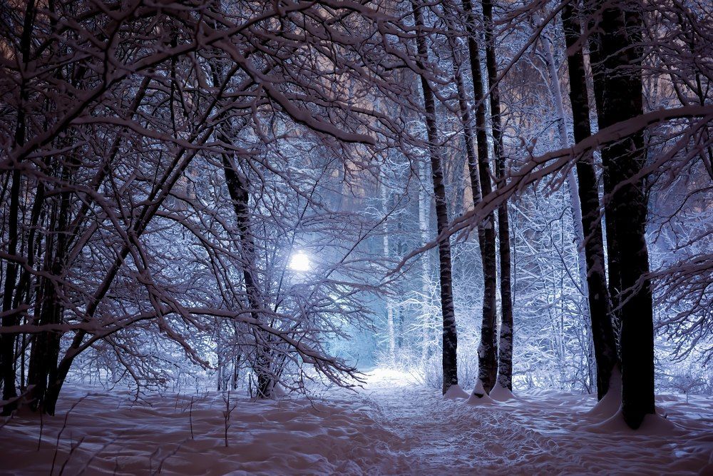 Photograph by Владимир Кочадыков