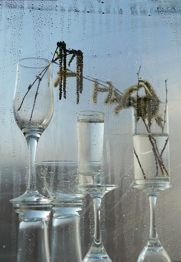 Photograph by Ирина Никитина