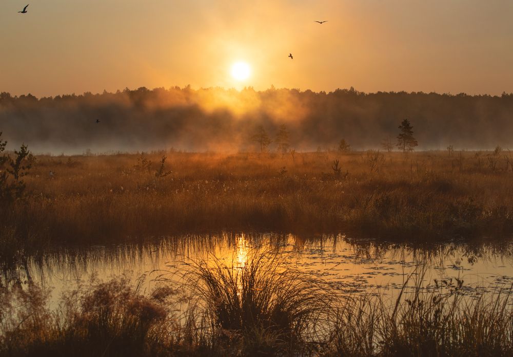 Photograph by Александр Овсенёв