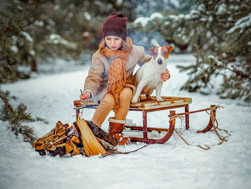 Теплота дружбы