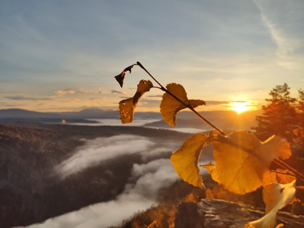 Photograph by Катерина Потëмина