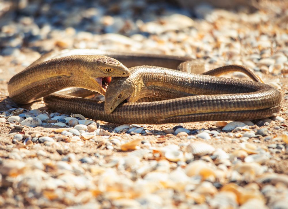 Photograph by Александр Овсенёв