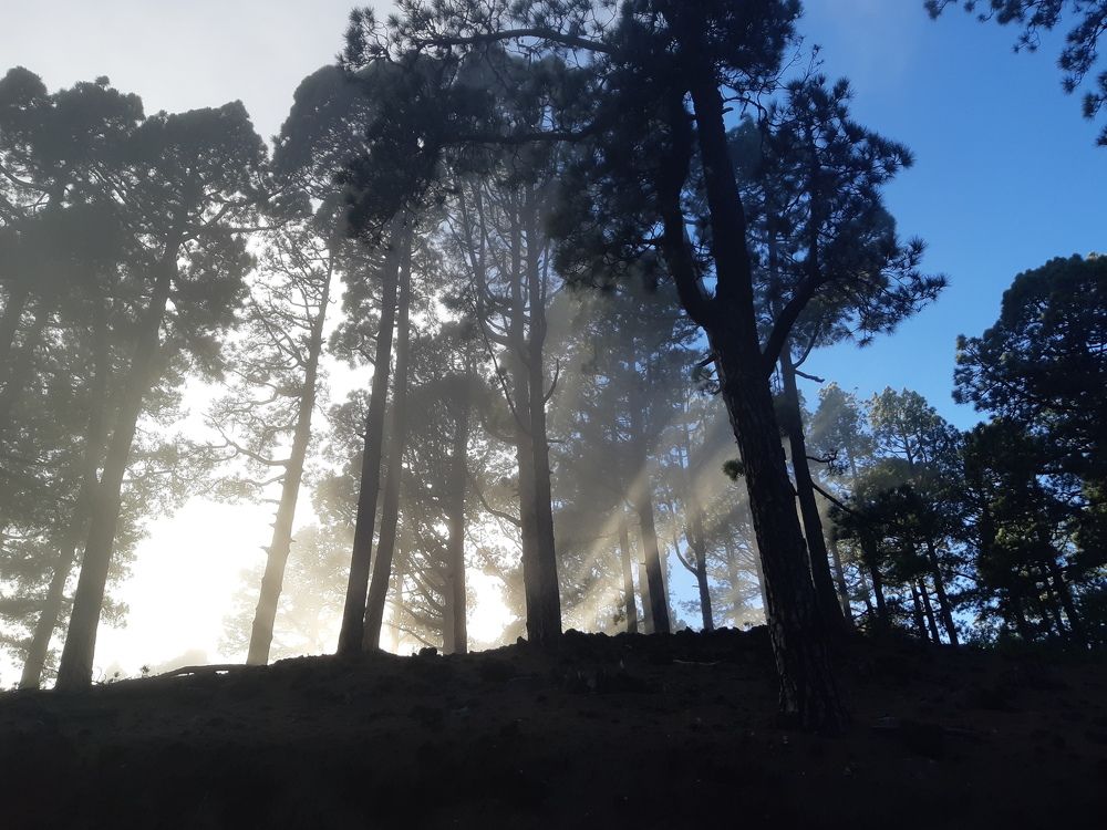 Photo #5641409