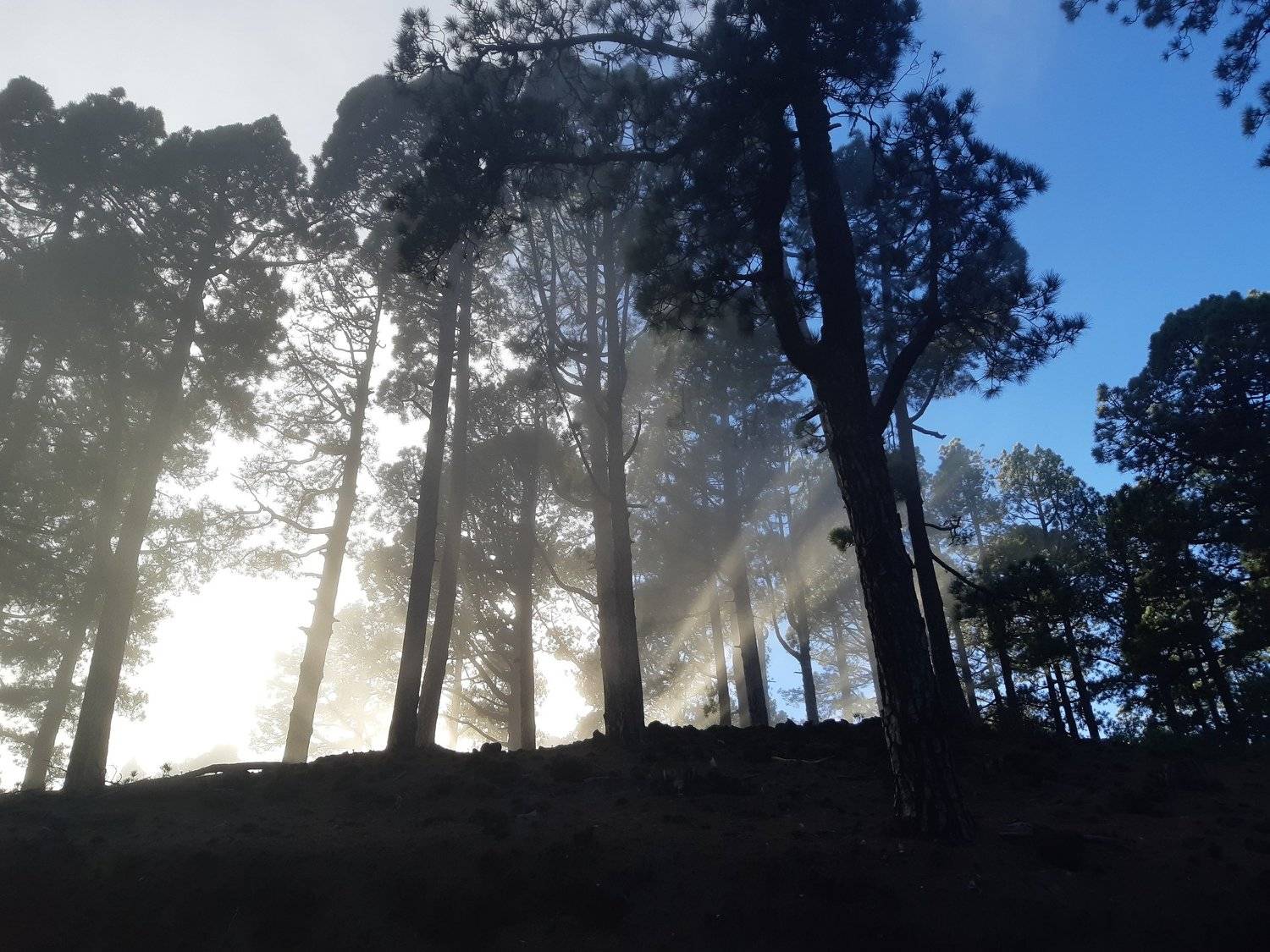 Photo #5641409