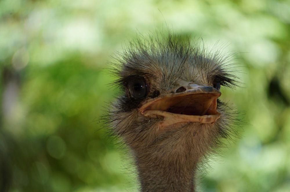 Photograph by Владимир Кочадыков