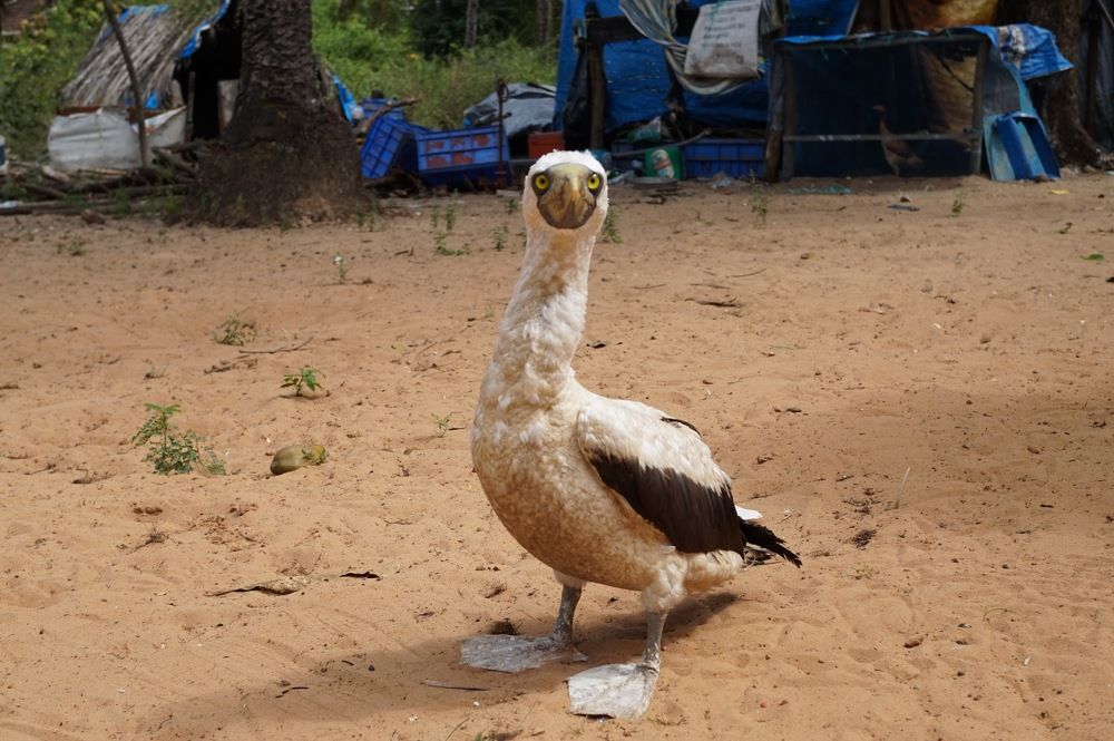 Photograph by Владимир Кочадыков