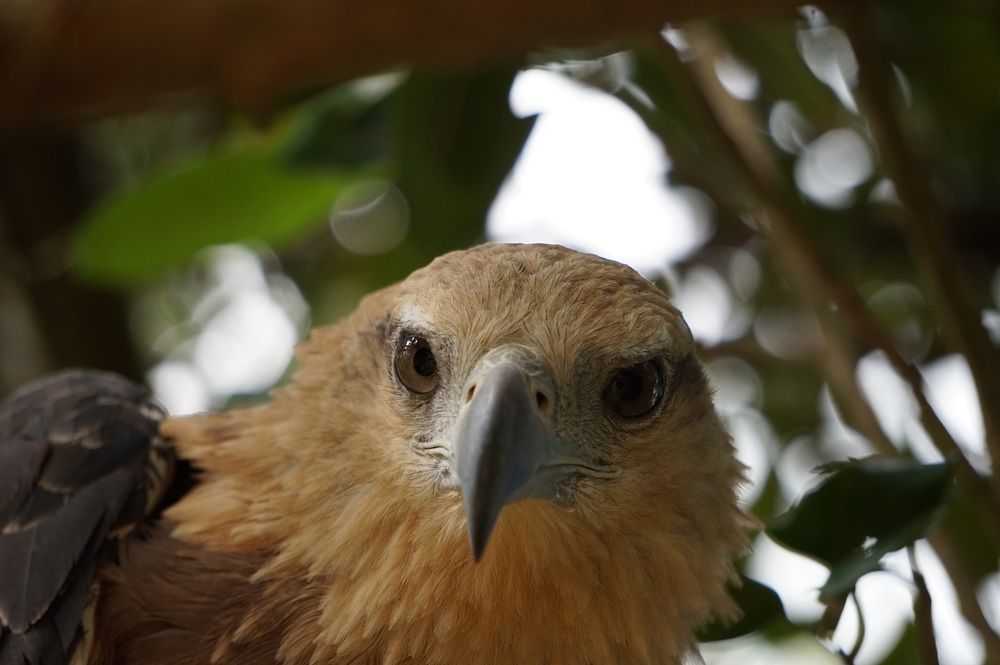 Photograph by Владимир Кочадыков