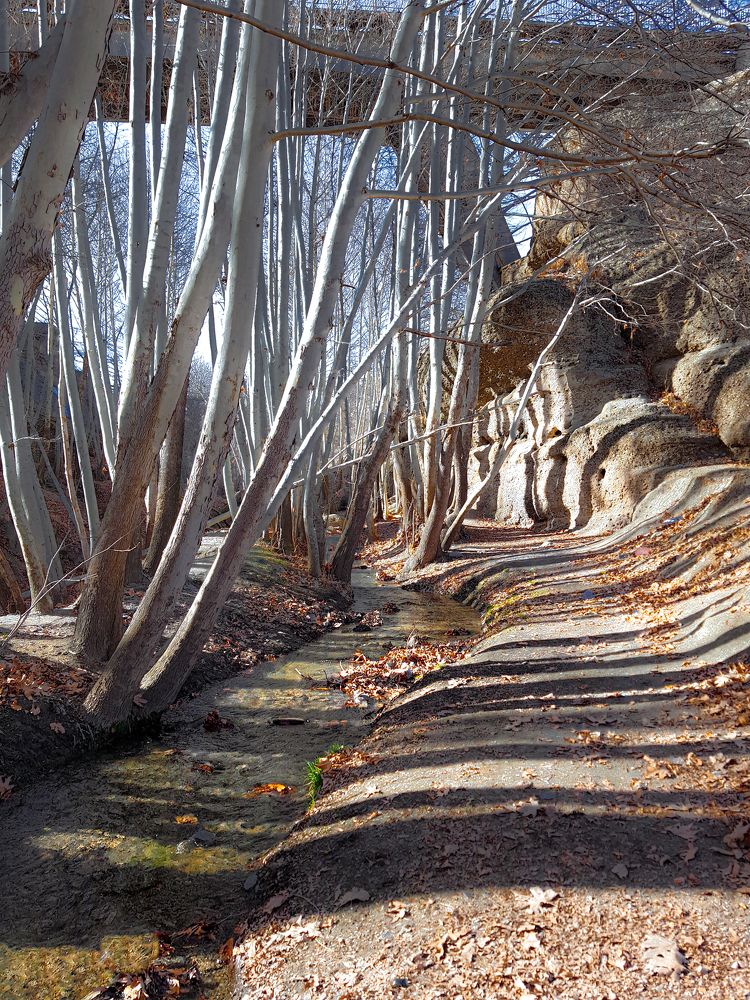 Фотография автора Nima Nezafat Yazdi