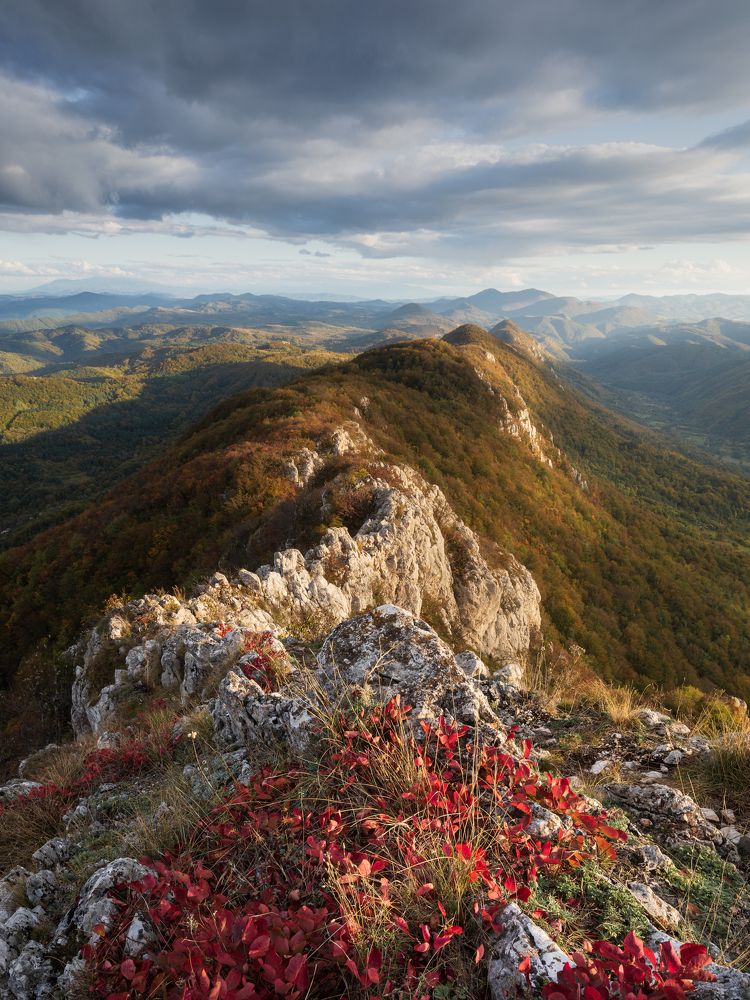 Фотография автора Daniel Knezevic