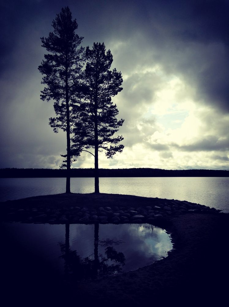 Одиночество.