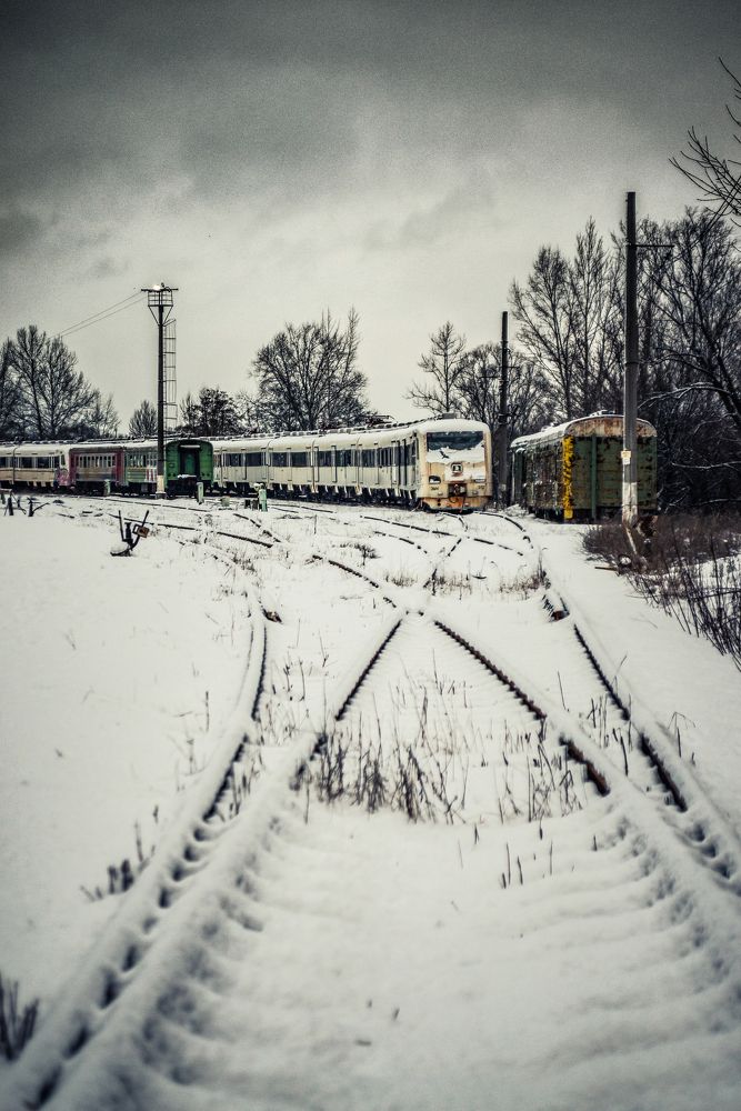 Photograph by Алексей Стариков