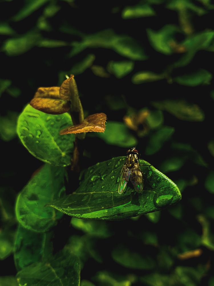 Photograph by Ketsia Samano