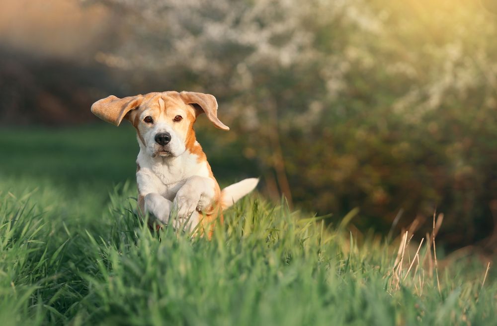 Фотография автора Katerina Mumzhinskaya