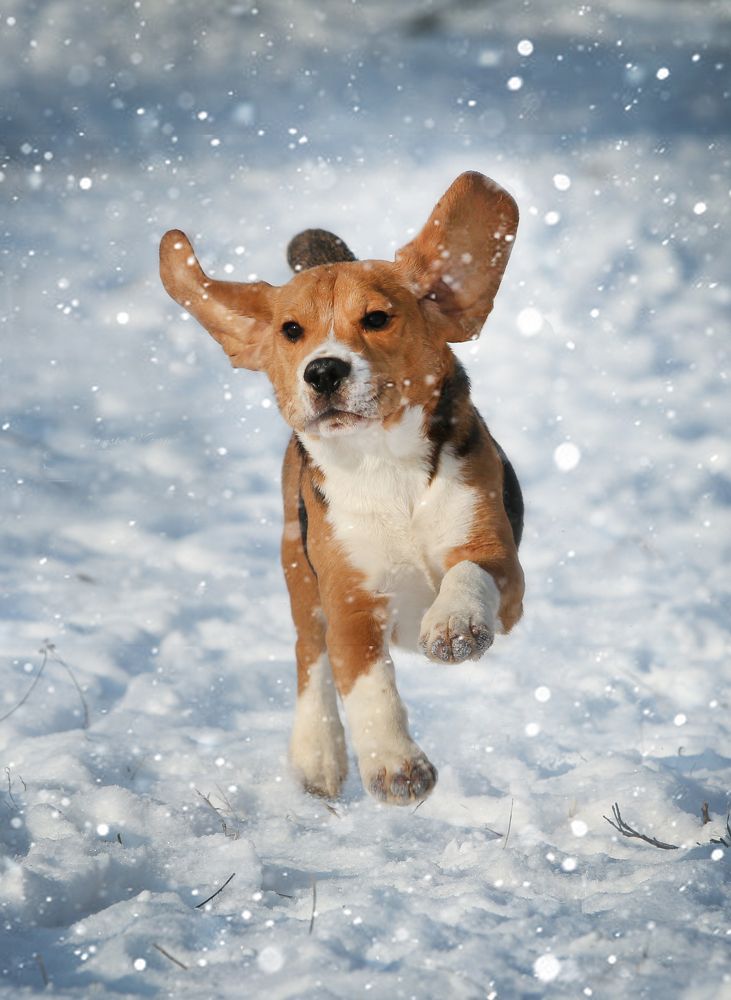 Фотография автора Katerina Mumzhinskaya