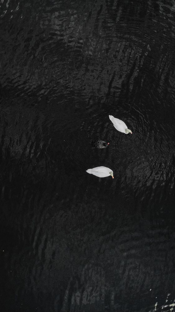 Photograph by Мария Блинова