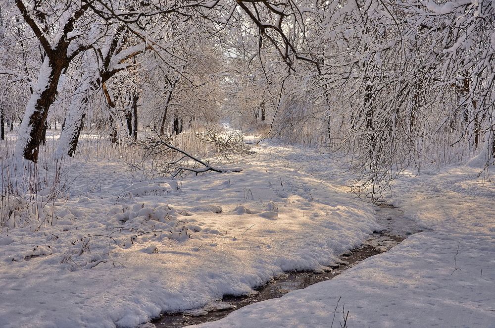 Photograph by Олег Радионов
