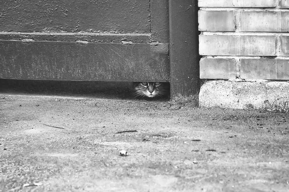 Photograph by Олег Архипов