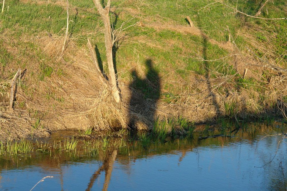 Photograph by людмила