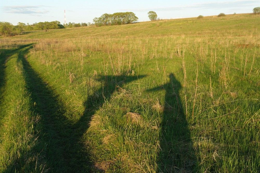 Photograph by людмила