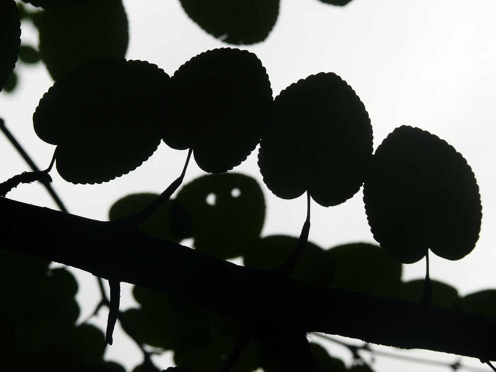 Photograph by Василий