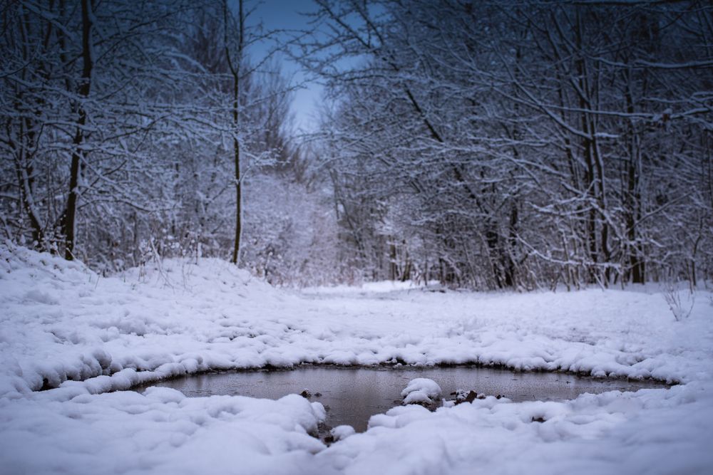 Photograph by Олег Малаев