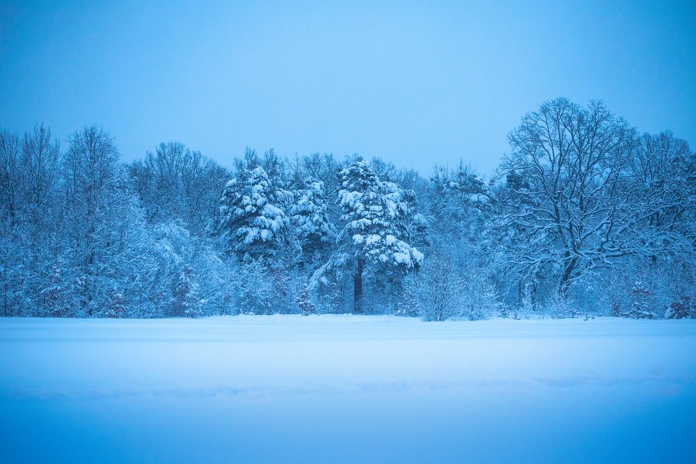 Photograph by Олег Малаев