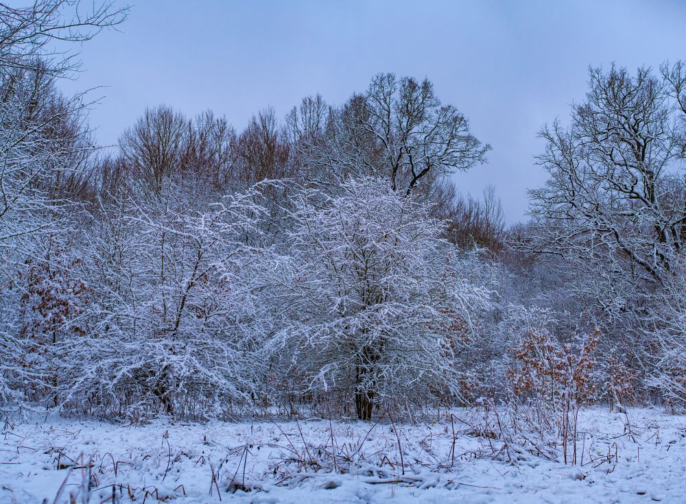 Photograph by Олег Малаев