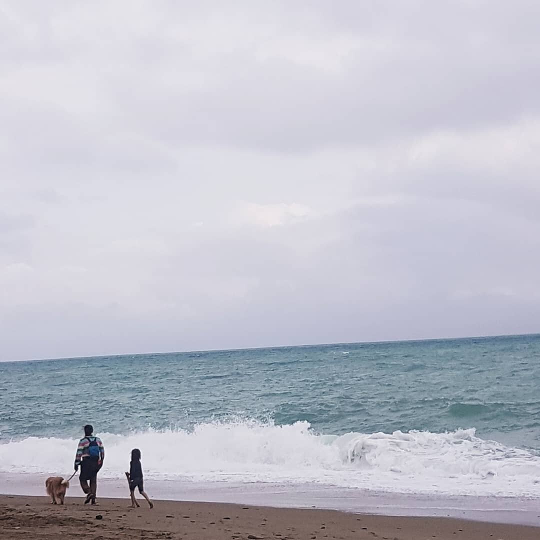 Photo #5641803