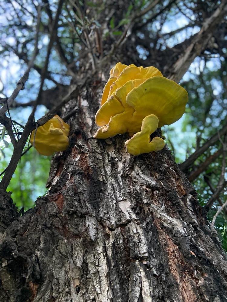 Photograph by Ольга Габукова