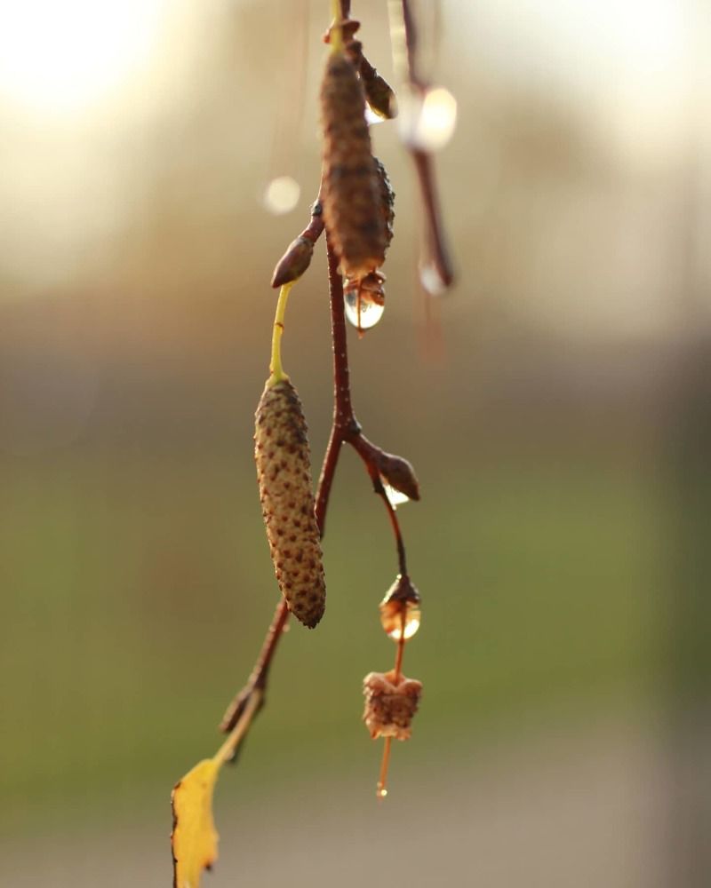 Photograph by Екатерина