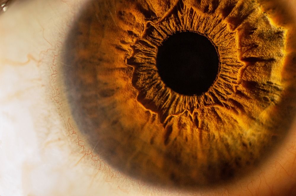 Photograph by Максим Нелидов