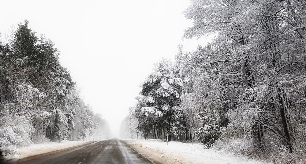 Фотография автора Дана Богинская