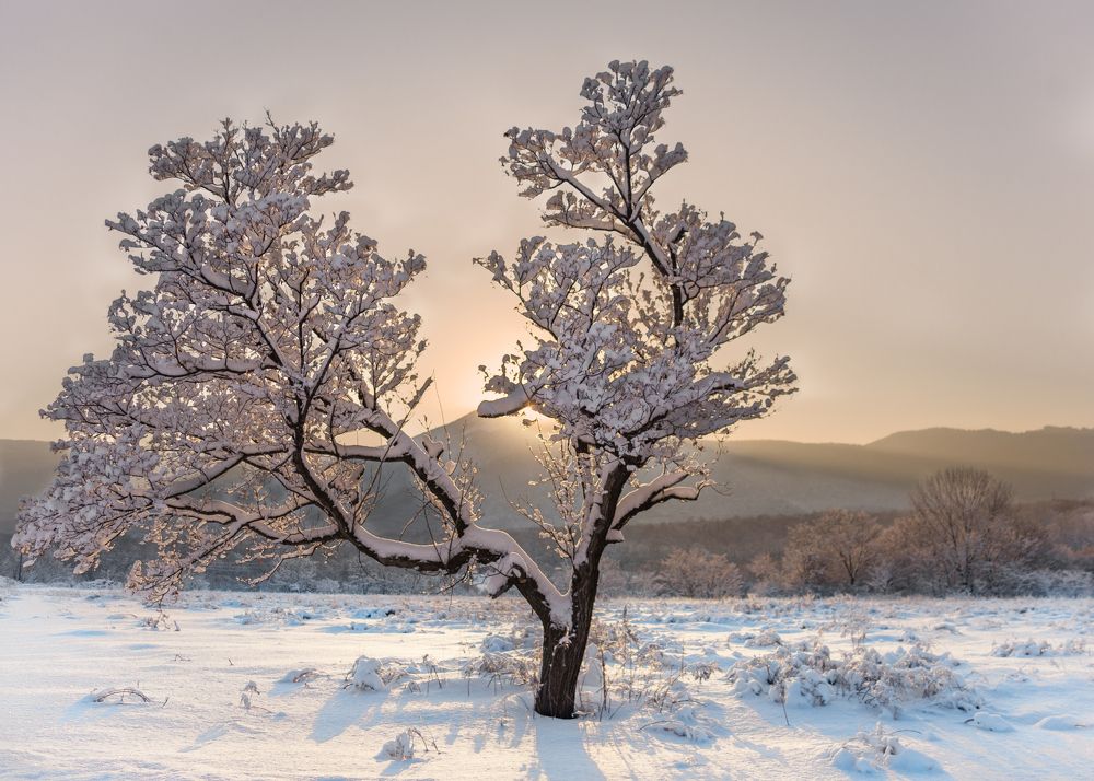 Photograph by Роман Смолко