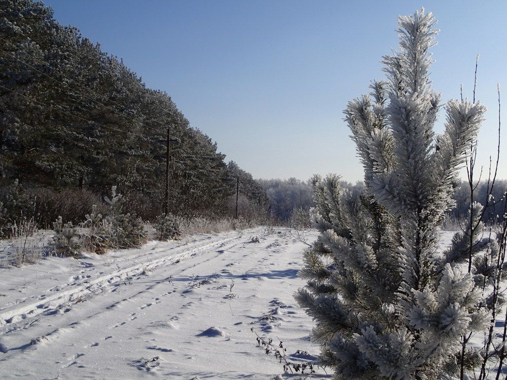 Photograph by Владимир Барышев