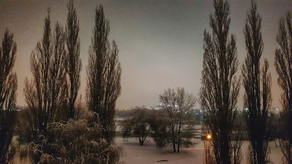 Фотография автора Дана Богинская