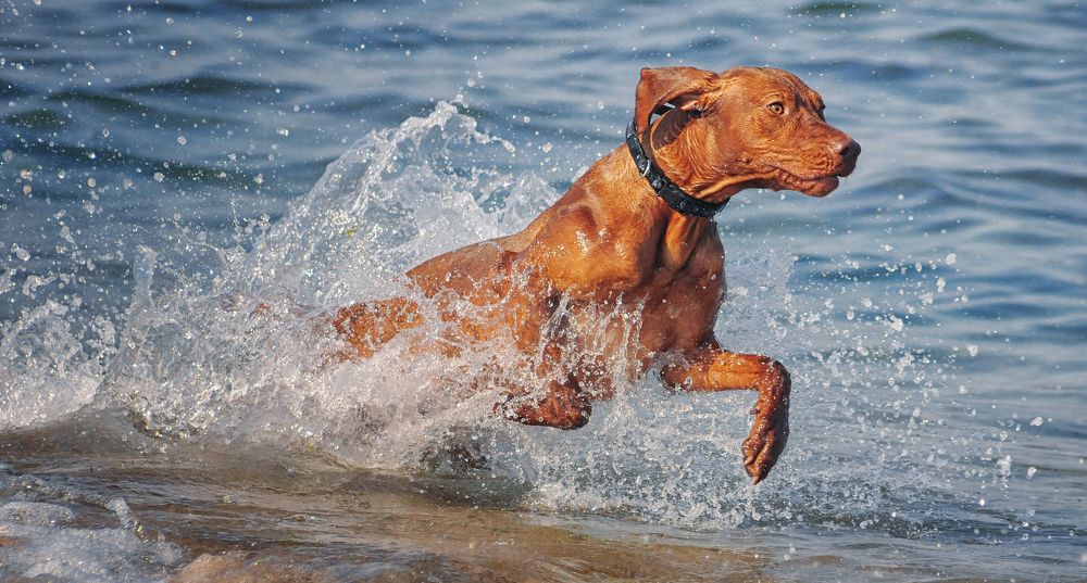 Фотография автора Katerina Mumzhinskaya