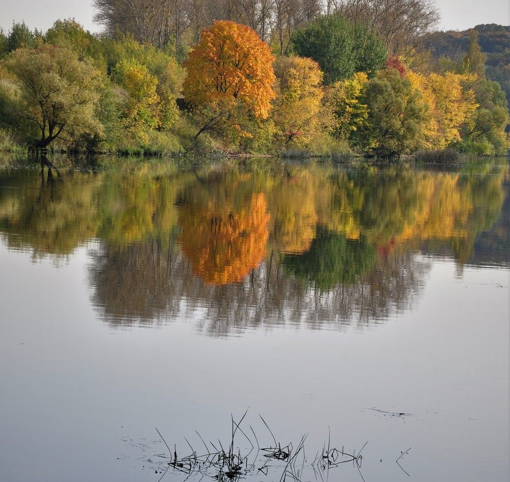 Photograph by Юлия Лис-а